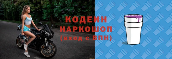 индика Алексин