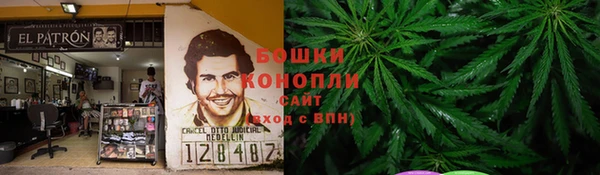 прущие грибы Алексеевка