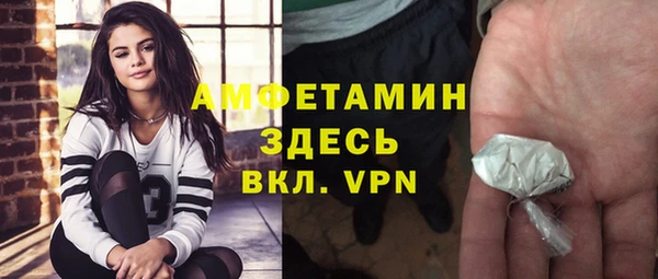 индика Алексин