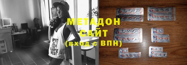 индика Алексин