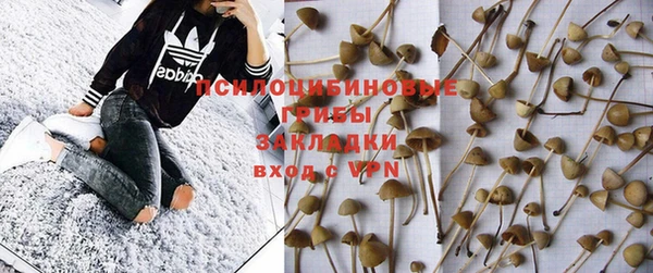 прущие грибы Алексеевка