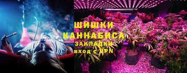 прущие грибы Алексеевка