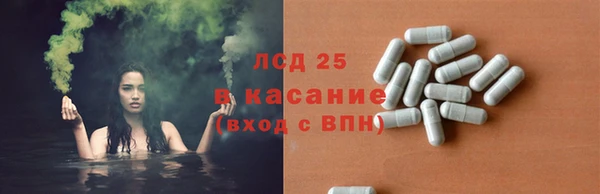 ГАЛЛЮЦИНОГЕННЫЕ ГРИБЫ Алзамай