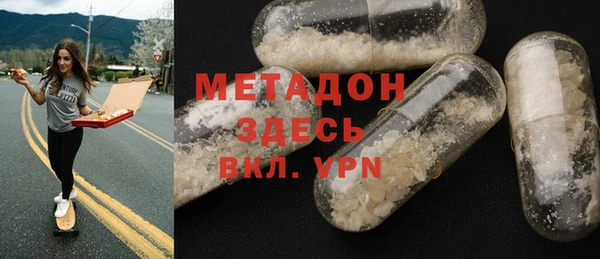 индика Алексин
