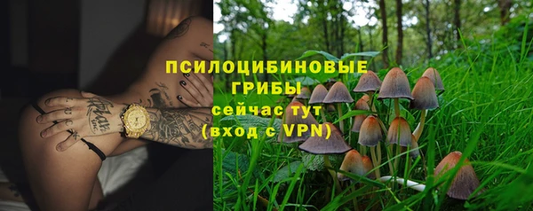 прущие грибы Алексеевка