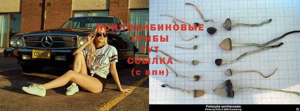 хмурый Осташков