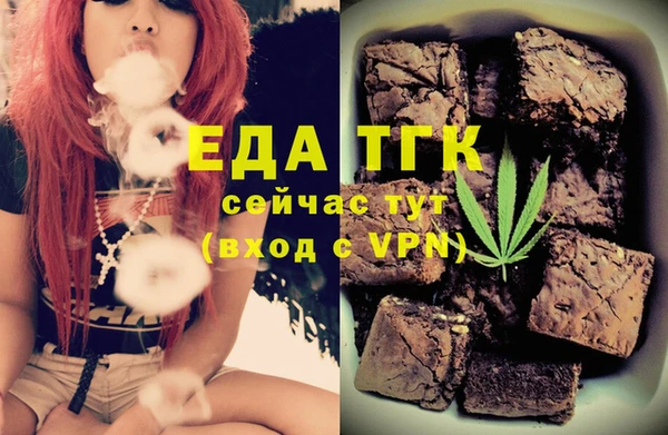 индика Алексин