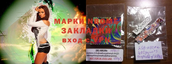 индика Алексин