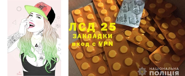 ГАЛЛЮЦИНОГЕННЫЕ ГРИБЫ Алзамай