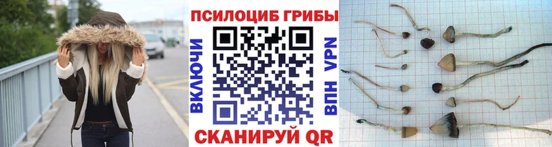 Псилоцибиновые грибы мицелий  Десногорск 